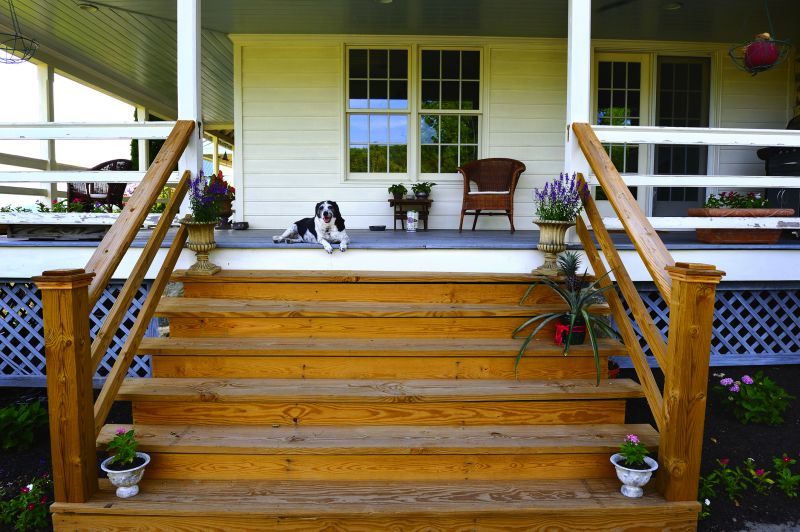 Deck Steps Repair in Conroe, TX